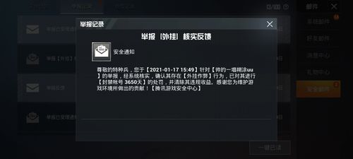 和平精英《火锅》辅助