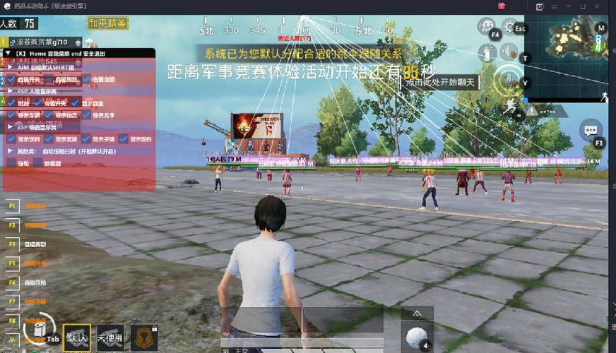 和平精英KS稳定版外挂