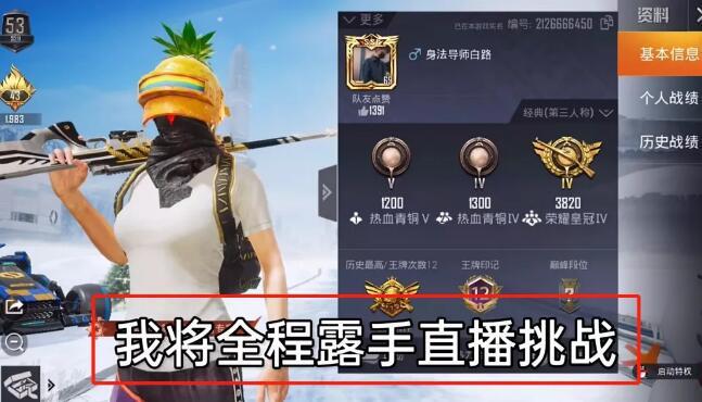 和平精英【逆境】辅助更新:新增防护插件,稳定体验再升及