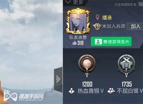 和平精英辅助【XL主播定制】独家绘制透视 完美过检 雷达预警  生态触摸锁 函数自瞄 可观透